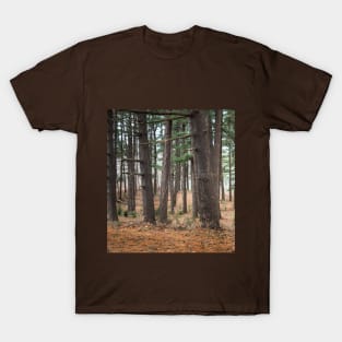 A walk in the woods T-Shirt